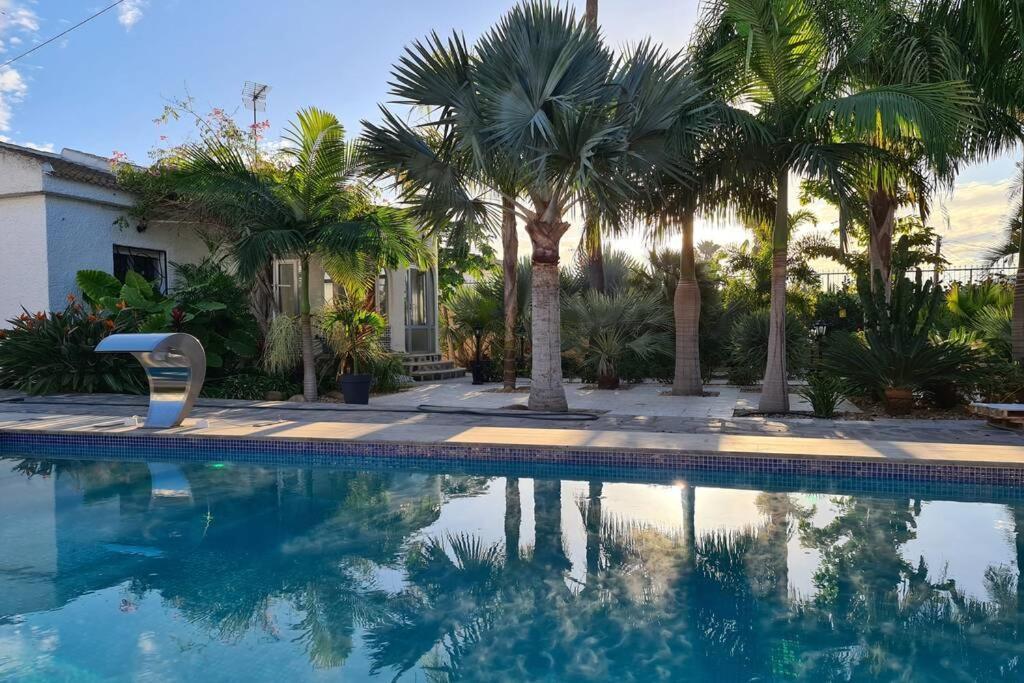 Tropical Paradise Villa In Torrevieja Zewnętrze zdjęcie
