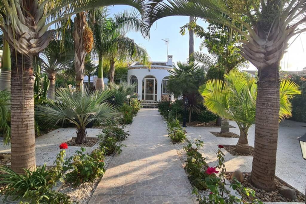 Tropical Paradise Villa In Torrevieja Zewnętrze zdjęcie