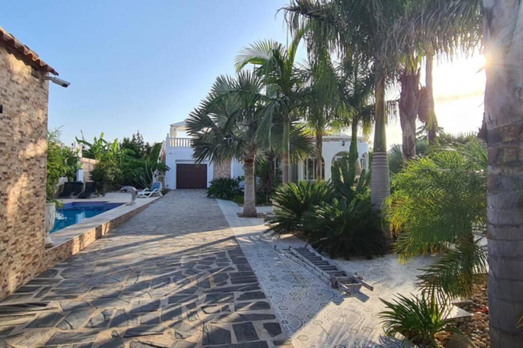 Tropical Paradise Villa In Torrevieja Zewnętrze zdjęcie