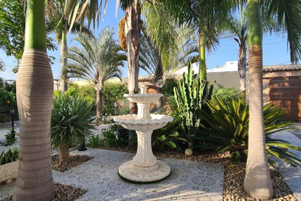 Tropical Paradise Villa In Torrevieja Zewnętrze zdjęcie
