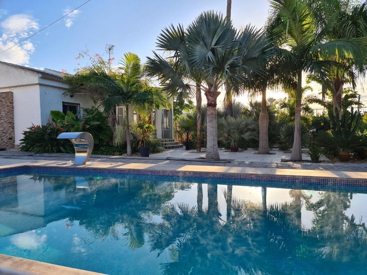 Tropical Paradise Villa In Torrevieja Zewnętrze zdjęcie