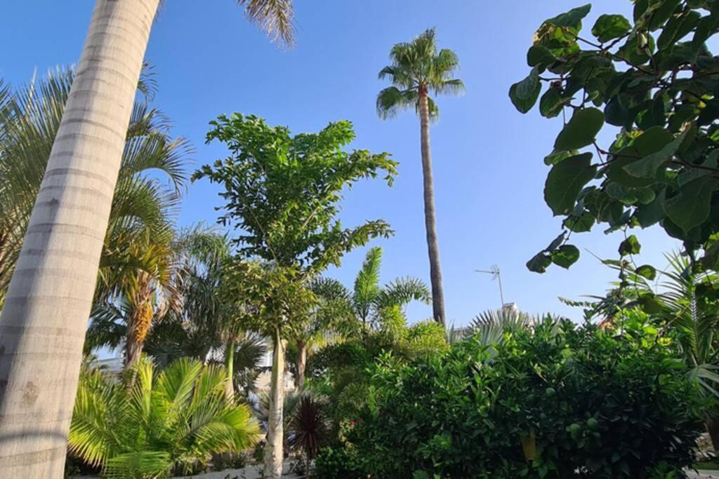 Tropical Paradise Villa In Torrevieja Zewnętrze zdjęcie