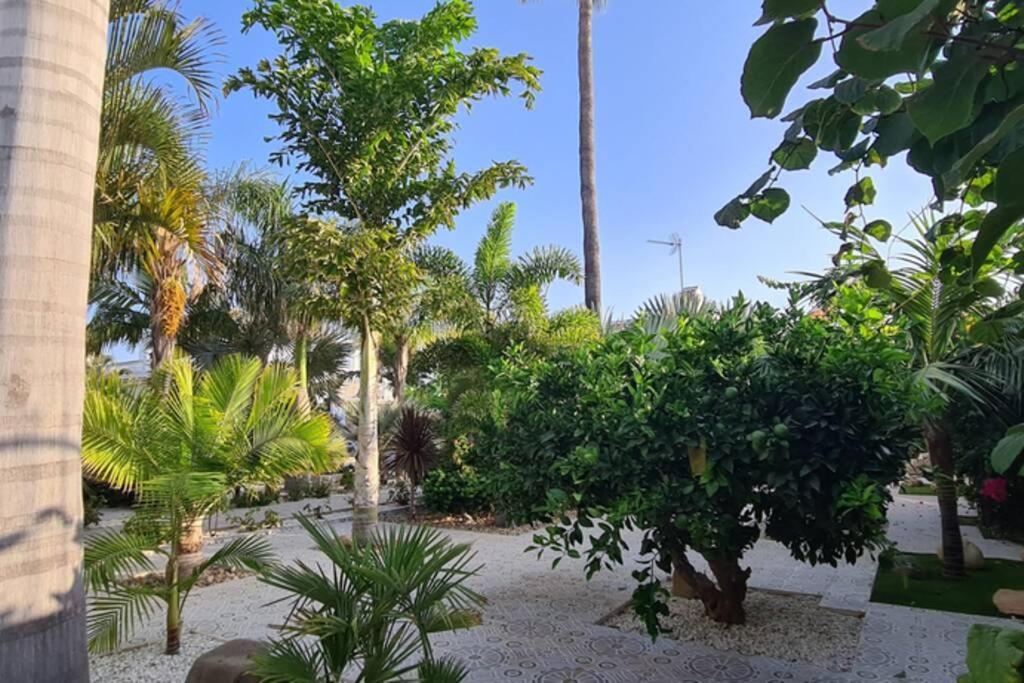 Tropical Paradise Villa In Torrevieja Zewnętrze zdjęcie