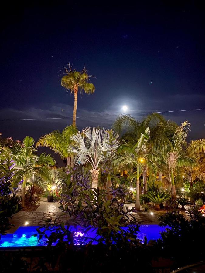 Tropical Paradise Villa In Torrevieja Zewnętrze zdjęcie